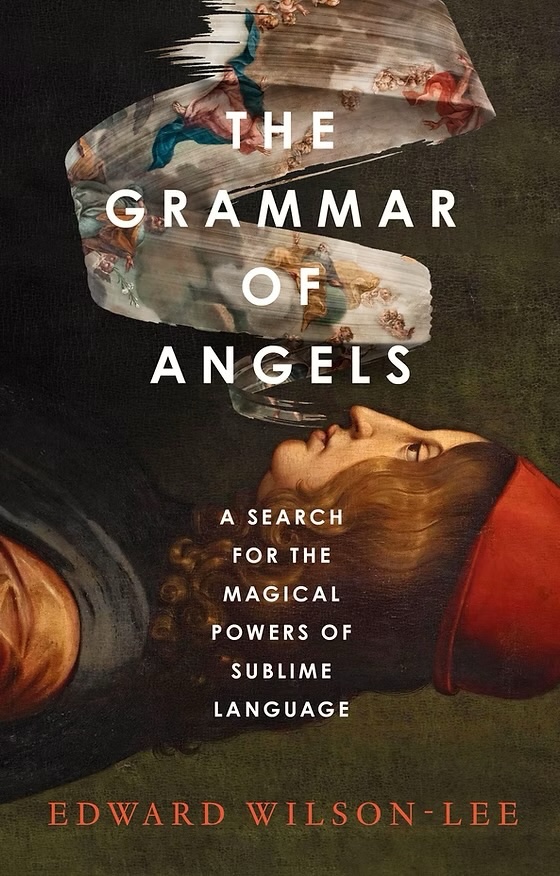 Publication day tomorrow for THE GRAMMAR OF ANGELS, my account of the philosopher-poet Pico della Mirandola and his attempt to speak to the foundations of being. 🧵 1/