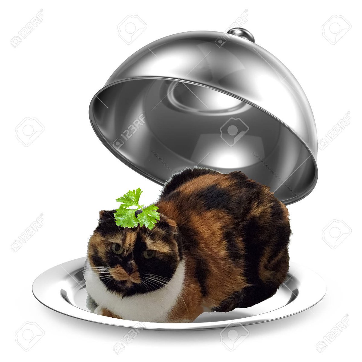 There weren't enough hellos....