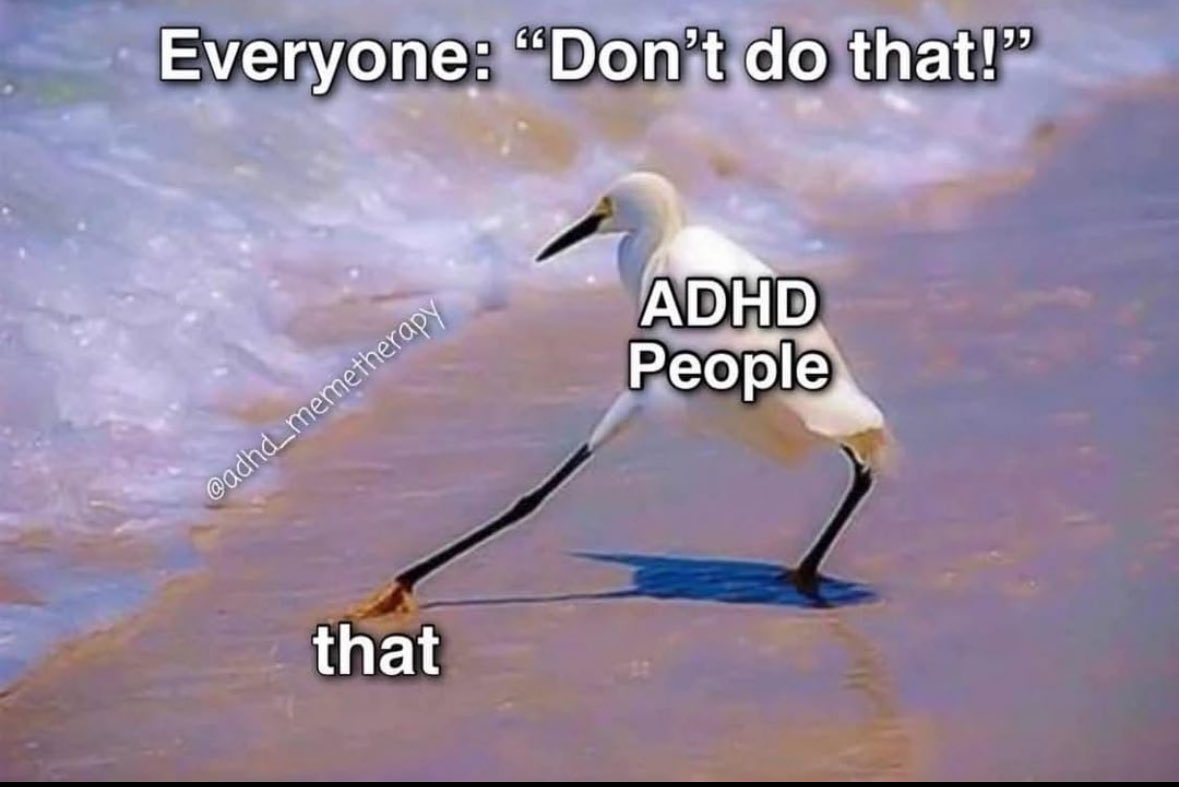 ADHD Memes (@adhdforreal) on Twitter photo 