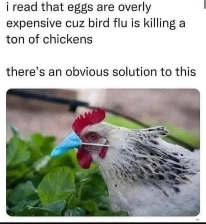 FreedomHeathen's tweet image. 