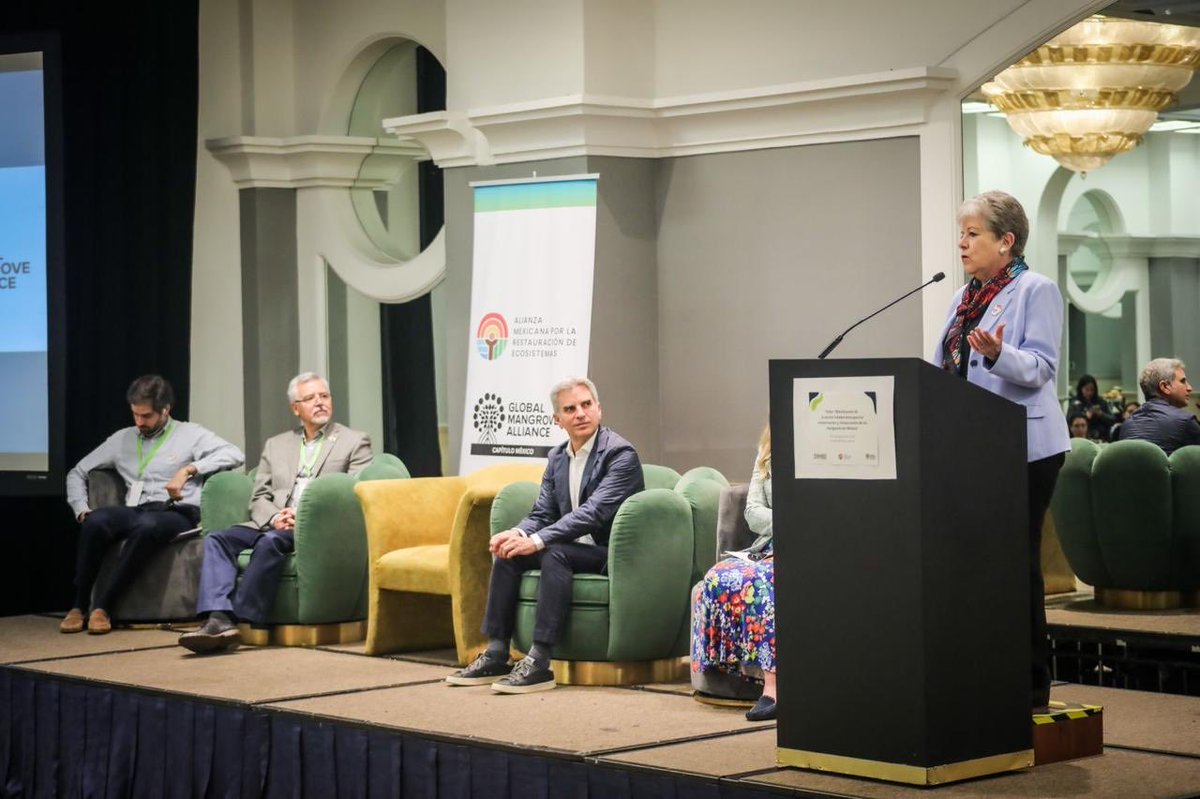 Alicia Bárcena tweet media