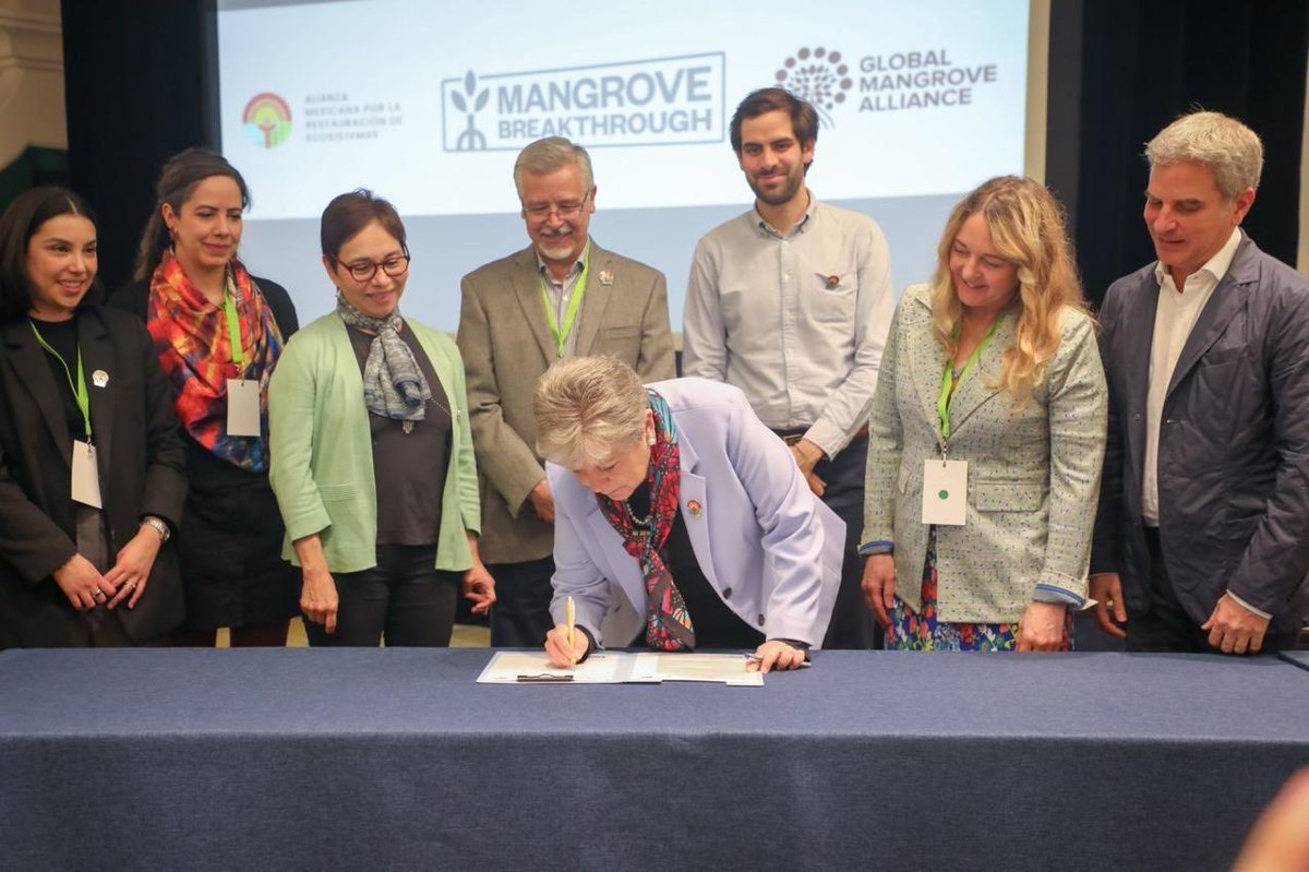 Para🇲🇽, la conservación y la restauración de #manglares es una prioridad. Suscribimos carta de apoyo a iniciativa #MangroveBreakthrough para acelerar acciones de su resguardo y restauración, ya que tenemos el 6% del total mundial, más de 900 mil hectáreas que debemos cuidar.