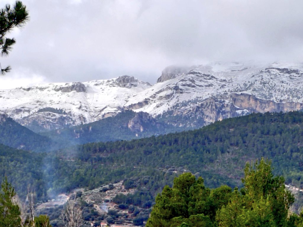 🏔️😍La belleza del Calar de la Sima (Yeste) con su inconfundible Peña Palomera. Con nieve, aún más bella si cabe. Así lucía hoy 29/01/2025, a la espera de más nieve en las próximas horas. #SierraDelSegura #Albacete #meteoAB #Nieve

© Jesús Ángel