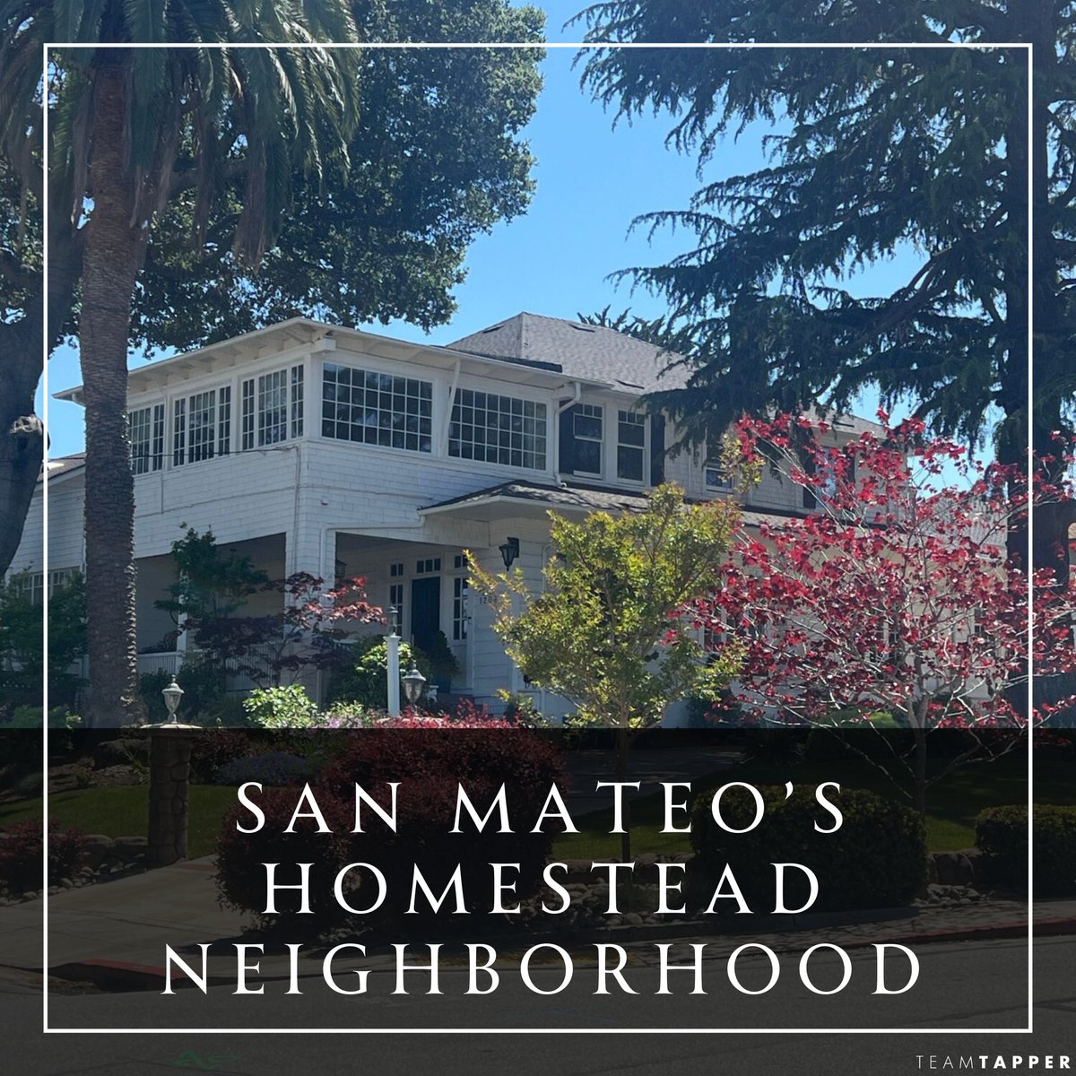 Come explore the Homestead neighborhood in San Mateo, CA!

teamtapper.com/san-mateo/home…

#sanmateo #sfbayarea #sfbay #SiliconValley #realestate #homebuyers #homebuying #househunting
