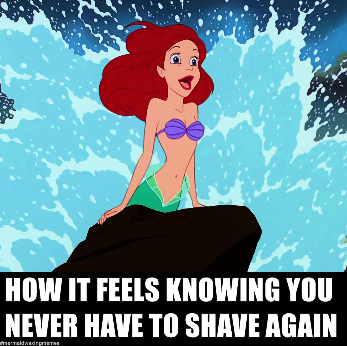 MermaidWax's tweet photo. I wanna be where the waxers are
I wanna see, wanna see em waxin'
 
#MermaidWaxingMemes #MermaidWax #Waxing #HairRemoval #TheLittleMermaid #Ariel https://t.co/xSZLdLjhyk