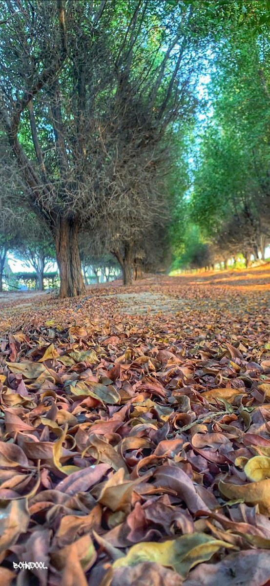 #الاحساء
احد الامكان في الاحساء مين يعرف وين المكان هذا