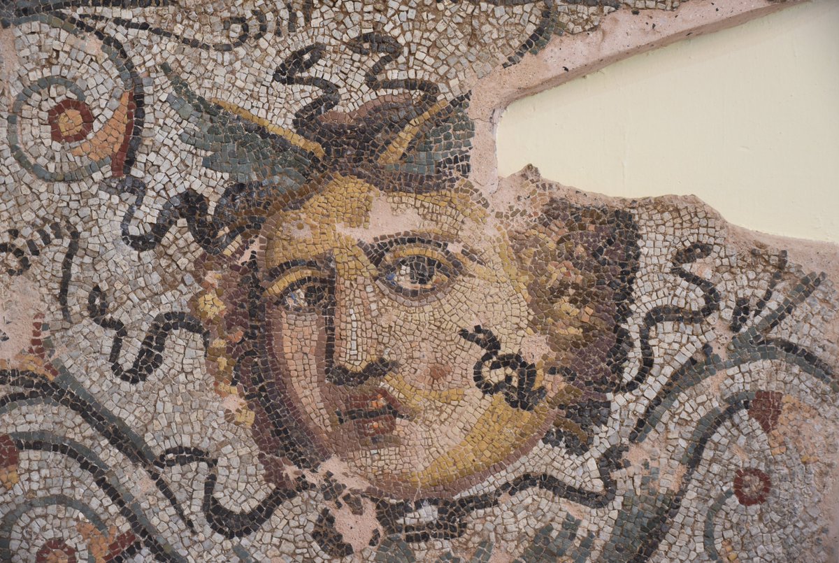 carolemadge's tweet photo. #YearOfTheSnake 🐍 Medusa, the snake-haired mythical creature whose gaze turns everyone to stone. https://t.co/PKAiRvw4yt