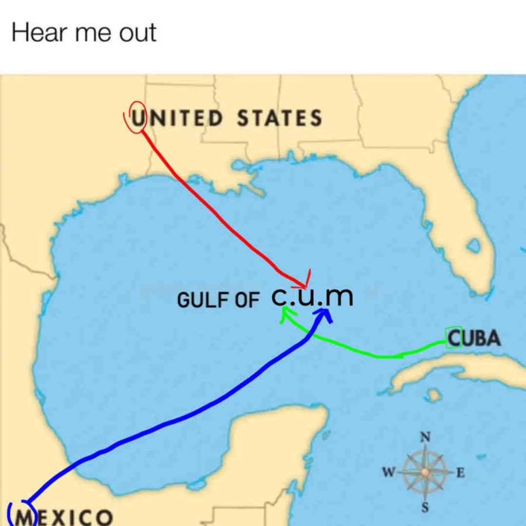 Americans are now pushing for the 'Gulf of America' to be renamed to represent all countries.