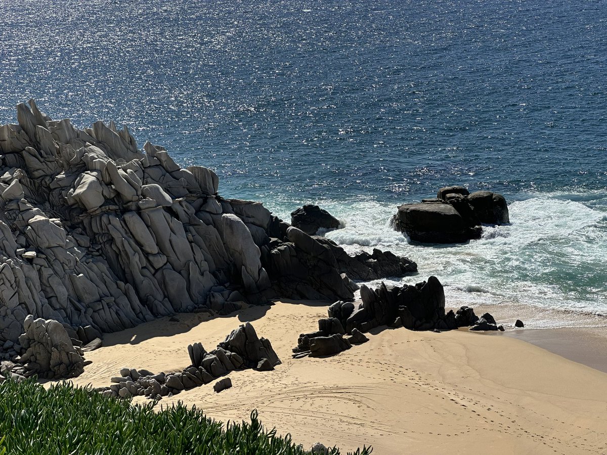 John Harris tweet media