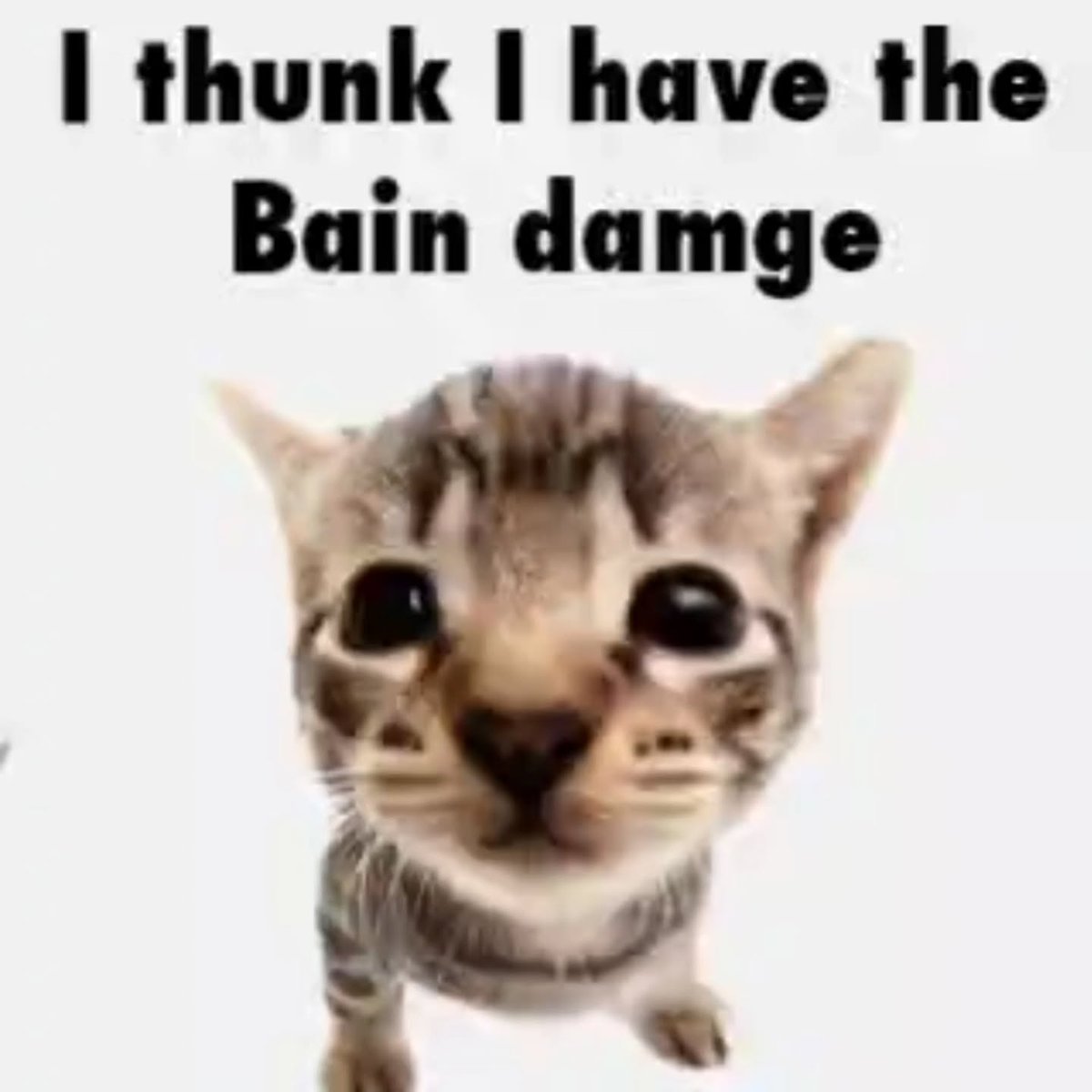 PunchingCat's tweet photo. https://t.co/08E0ZaB08w
