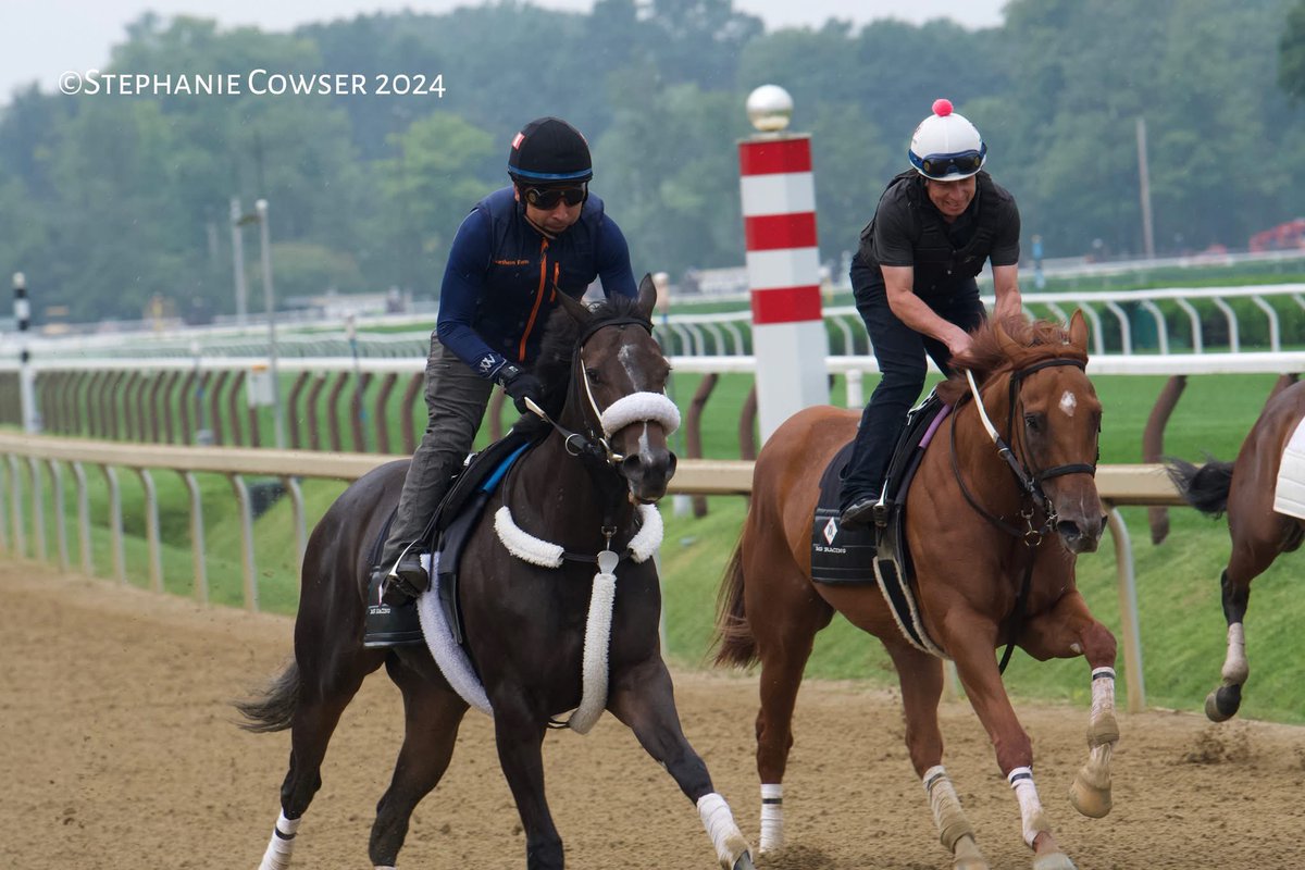 MG Racing tweet media