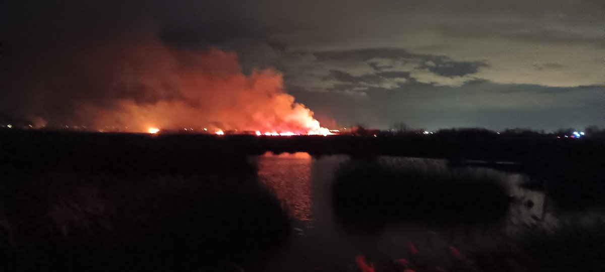 Maria Josep Picó (@mariajpico) on Twitter photo 🌱🔥 Saber que les flames continuaran vives a la #MarjaldelsMoros aquesta nit freda
Ens hem apropat al capvespre. Molt dur. Escoltar les aus i veure l'avanç del foc a la zona humida tan estimada i estudiada des de la <a href="/UV_EG/">Universitat València</a> i el nostre projecte europeu <a href="/RESTORE4Cs/">RESTORE4Cs</a> #CanviClimàtic 🌱🔥 Saber que les flames continuaran vives a la #MarjaldelsMoros aquesta nit freda
Ens hem apropat al capvespre. Molt dur. Escoltar les aus i veure l'avanç del foc a la zona humida tan estimada i estudiada des de la <a href="/UV_EG/">Universitat València</a> i el nostre projecte europeu <a href="/RESTORE4Cs/">RESTORE4Cs</a> #CanviClimàtic