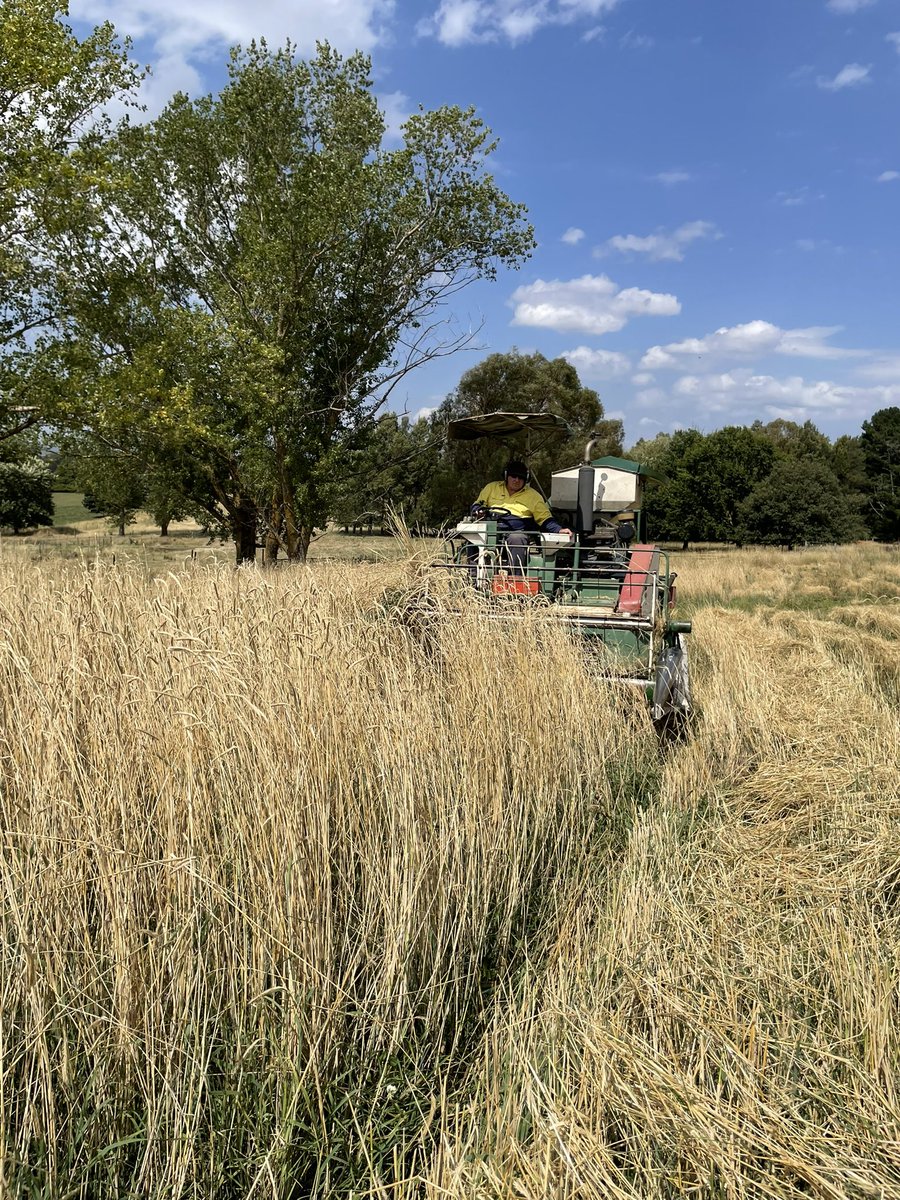 Matthew Newell tweet media