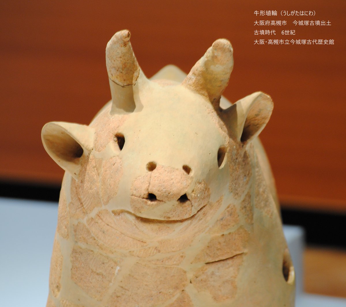 ❇️特別展「はにわ」 牛の埴輪は少なく、今展示で1点だけの「牛形埴輪