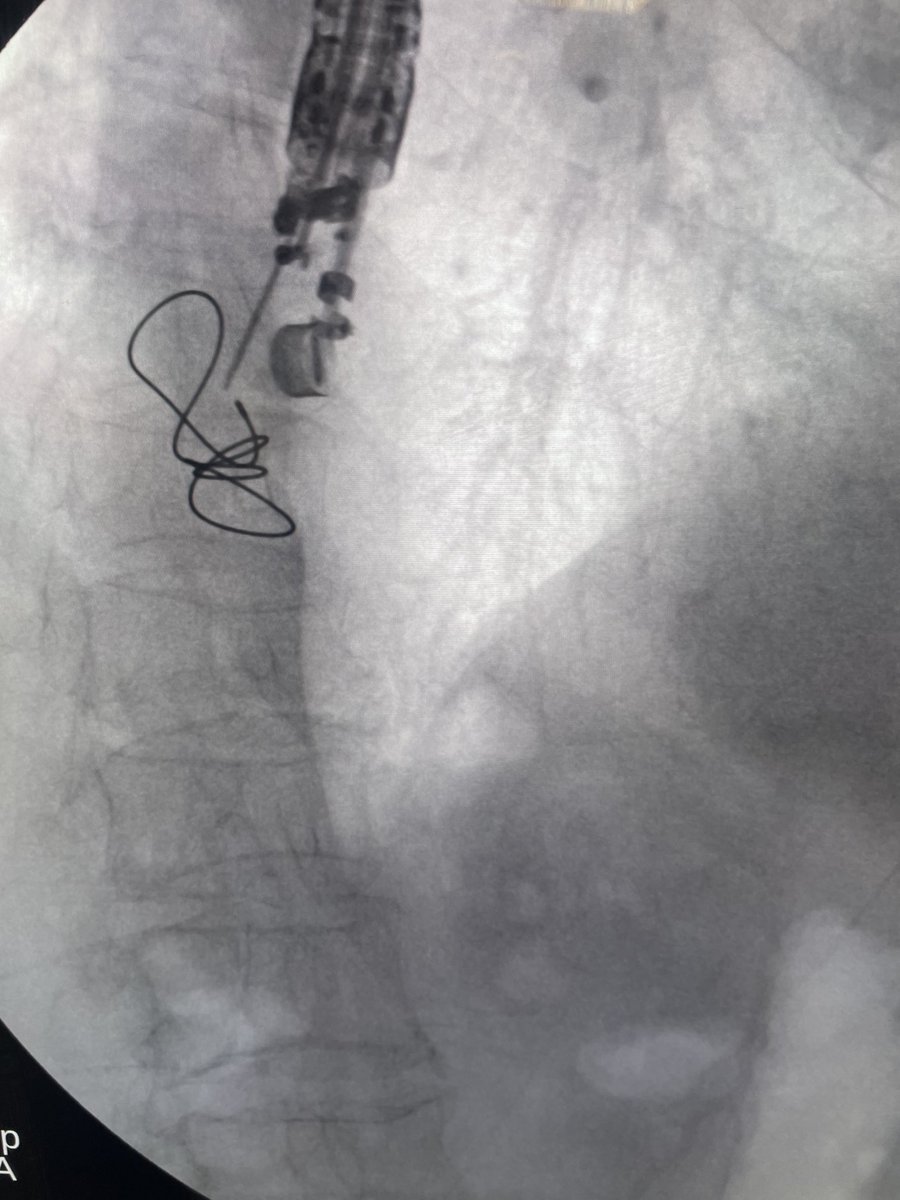 Douglas G. Adler MD, FASGE, FACG, AGAF tweet media