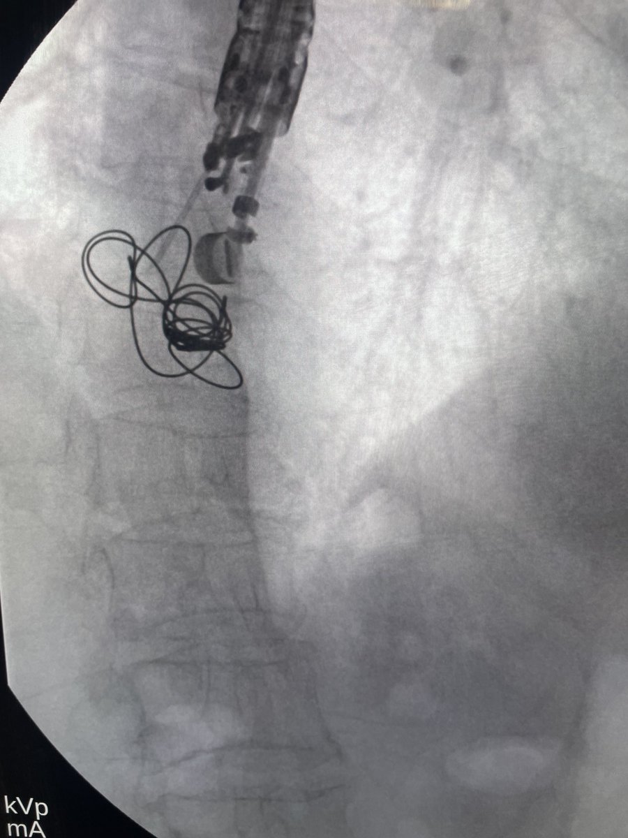 Douglas G. Adler MD, FASGE, FACG, AGAF tweet media