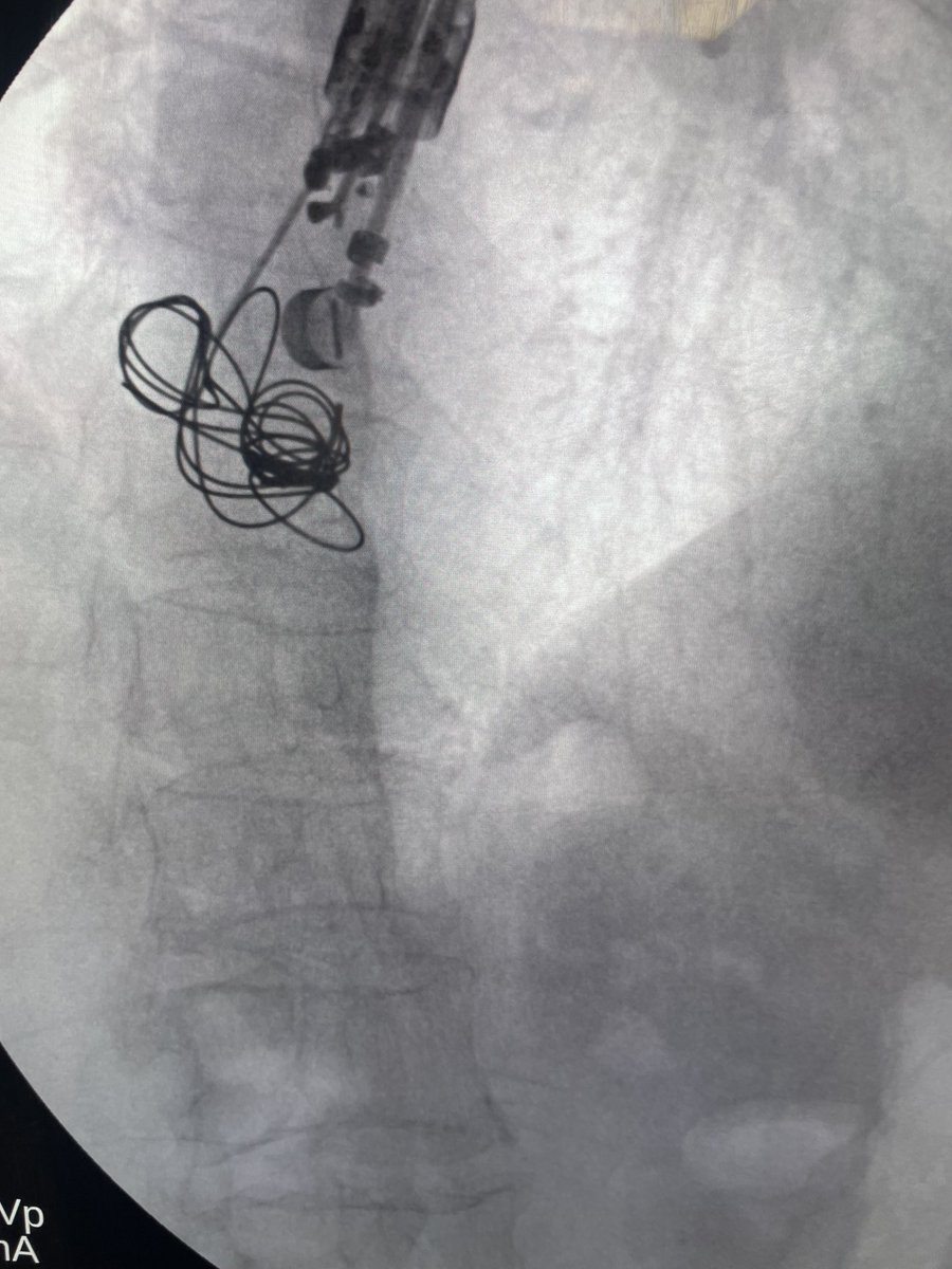 Douglas G. Adler MD, FASGE, FACG, AGAF tweet media