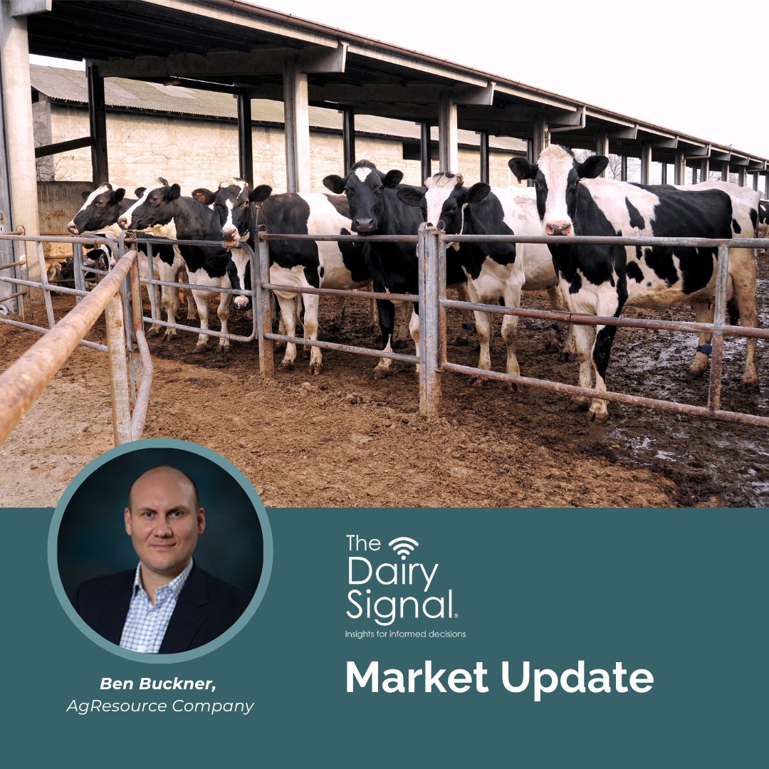 What’s shaping the dairy industry as 2025 kicks off? Join The Dairy Signal with Ben Buckner for insights on market trends, policy updates, and export shifts impacting producers. Explore key trends for 2025: mediasiteconnect.com/site/pdpw-dair…