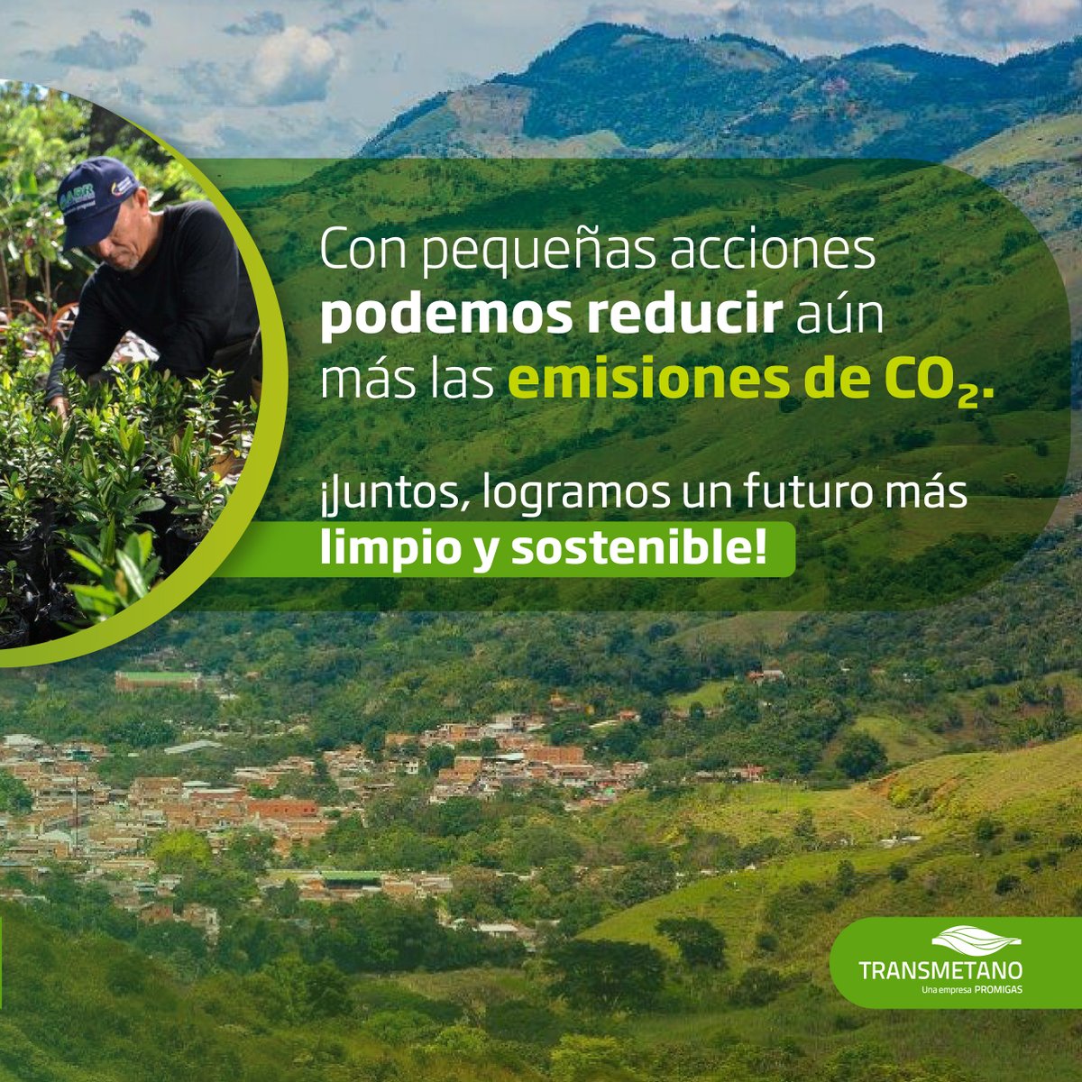 Transmetano tweet media