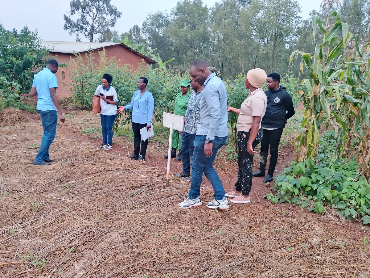 Mutenderi sector tweet media