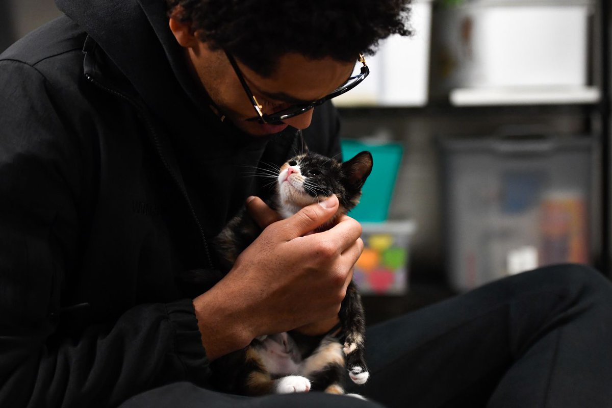 NBAdoPovo's tweet photo. PAI DE GATO

Jordan Poole é o líder de um grupo secreto na NBA de pais de gatos, e ele está tentando recrutar novos membros

"Toda vez que venho (Pra uma casa de adoção de gatos), penso: 'Deixa eu ir embora com todos eles. Deixa eu levar 14 gatos agora mesmo'"

Poole já convenceu Tristan Vukcevic, companheiro de time dele no Wizards a adotar um gato, e está tentando tornar Stephen Curry também em um pai de gatos

"Eu posso ou não já ter convencido o Steph a adotar um gato"

"Muitos de vocês são pais de pet, mas a energia e o jeito que eu falo sobre eles (gatos), as fotos e os vídeos e outras coisas que mostro pra eles (outros jogadores), cria um pouco mais de interesse pra eles."

"Então, eu dou a eles uma perspectiva diferente. Talvez os gatos não exijam tanta manutenção, mas ainda são um companheiro e amigo incrível de se ter. Você não precisa levá-los para passear três ou quatro vezes por dia. Você ainda pode descansar. Normalmente [meus colegas] gostam de explorar essa ideia. Tenho muitos amigos e companheiros de equipe que também são pais de gato."
