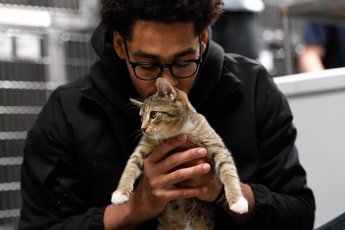 NBAdoPovo's tweet photo. PAI DE GATO

Jordan Poole é o líder de um grupo secreto na NBA de pais de gatos, e ele está tentando recrutar novos membros

"Toda vez que venho (Pra uma casa de adoção de gatos), penso: 'Deixa eu ir embora com todos eles. Deixa eu levar 14 gatos agora mesmo'"

Poole já convenceu Tristan Vukcevic, companheiro de time dele no Wizards a adotar um gato, e está tentando tornar Stephen Curry também em um pai de gatos

"Eu posso ou não já ter convencido o Steph a adotar um gato"

"Muitos de vocês são pais de pet, mas a energia e o jeito que eu falo sobre eles (gatos), as fotos e os vídeos e outras coisas que mostro pra eles (outros jogadores), cria um pouco mais de interesse pra eles."

"Então, eu dou a eles uma perspectiva diferente. Talvez os gatos não exijam tanta manutenção, mas ainda são um companheiro e amigo incrível de se ter. Você não precisa levá-los para passear três ou quatro vezes por dia. Você ainda pode descansar. Normalmente [meus colegas] gostam de explorar essa ideia. Tenho muitos amigos e companheiros de equipe que também são pais de gato."