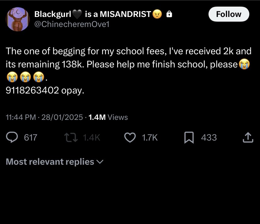 trippl 🤍 tweet media