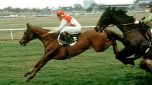 The Railway Walker tweet media