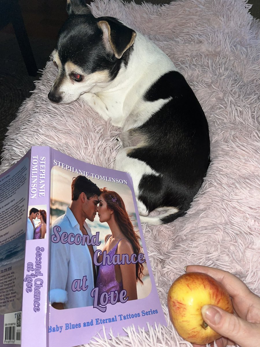 TheAuthStephTom tweet media