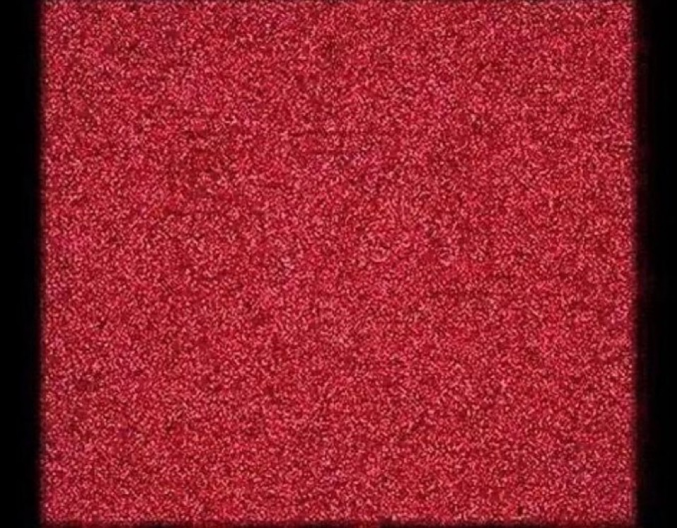 Not Elon Musk tweet media