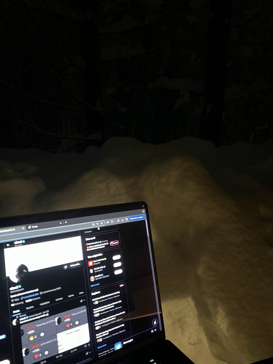 absol tweet media