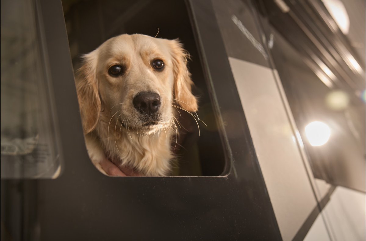 Today’s photography talent. Hmmm, wonder what we’re working on 😉?