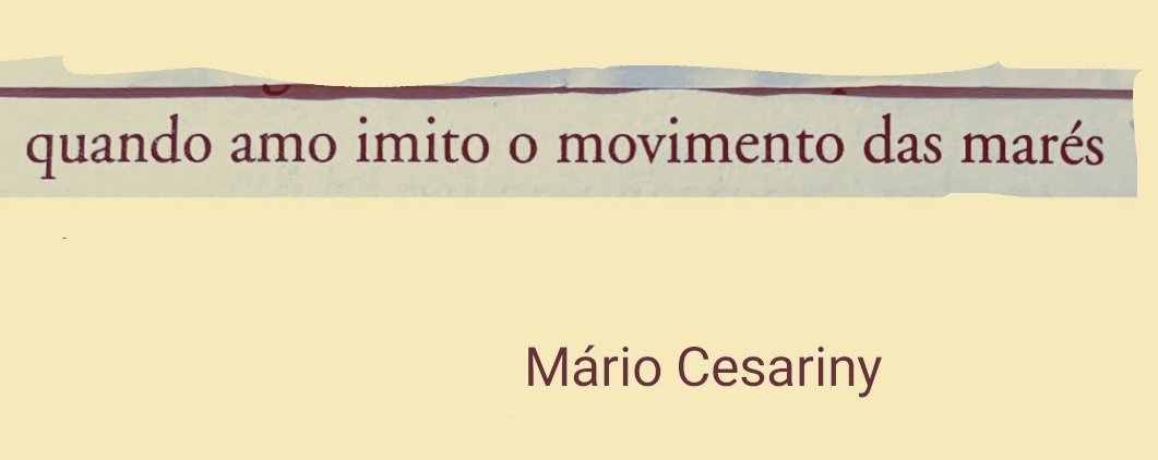 TrasOnetti's tweet photo. @mp_eri https://t.co/VzBbYAOVYy