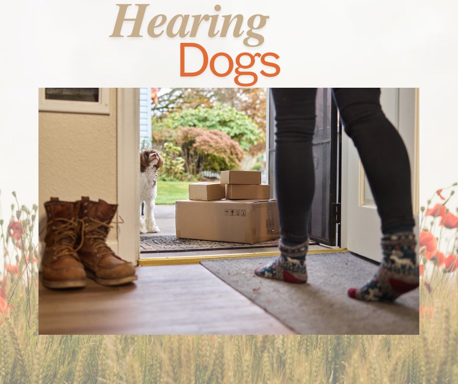 Programs for Elderly tweet media