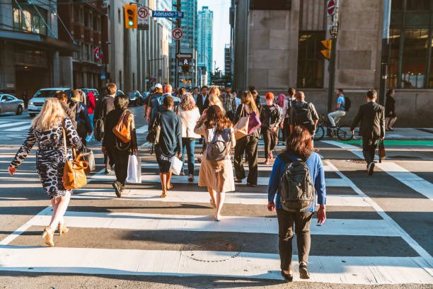 Para recuperar la salud de nuestras ciudades y sus habitantes es necesario que las calles se diseñen teniendo como eje central el 🚶‍♀️, transportarse en 🚲 y facilitar el uso del transporte público. Asi es como se cura la dependencia a conducir el automóvil vox.com/22662963/end-d…