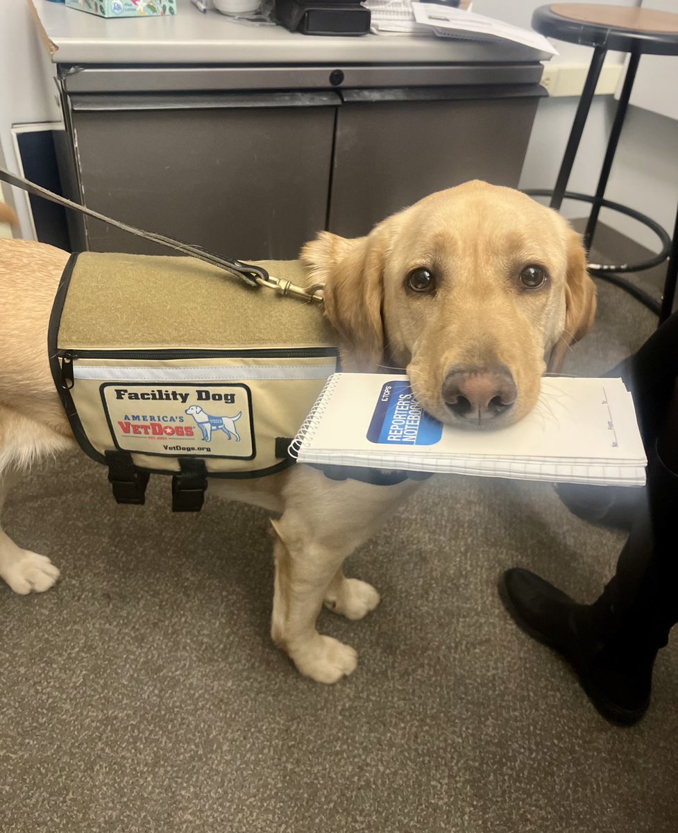 Haley Britzky tweet media