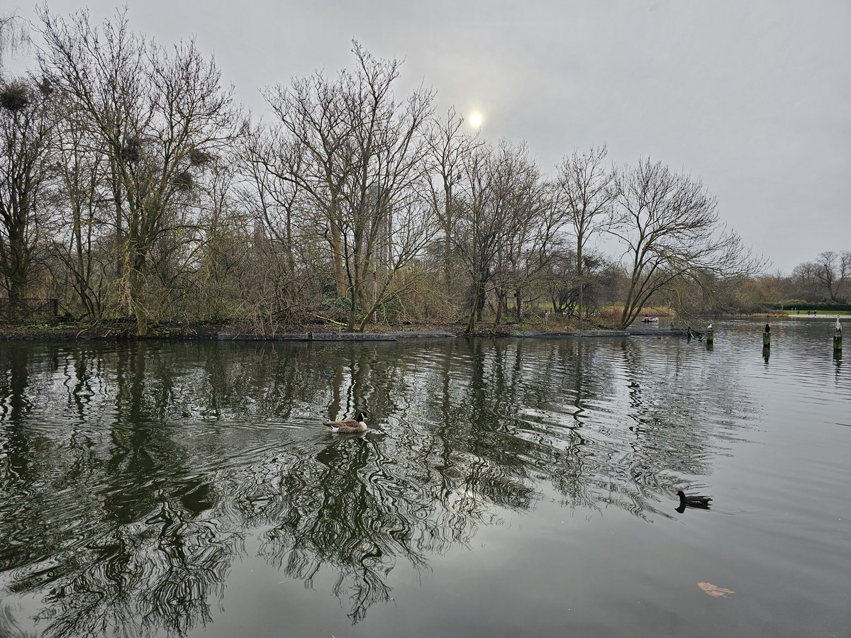 SharonGalWorld's tweet image. Daylight in London
(But my heart was singing)