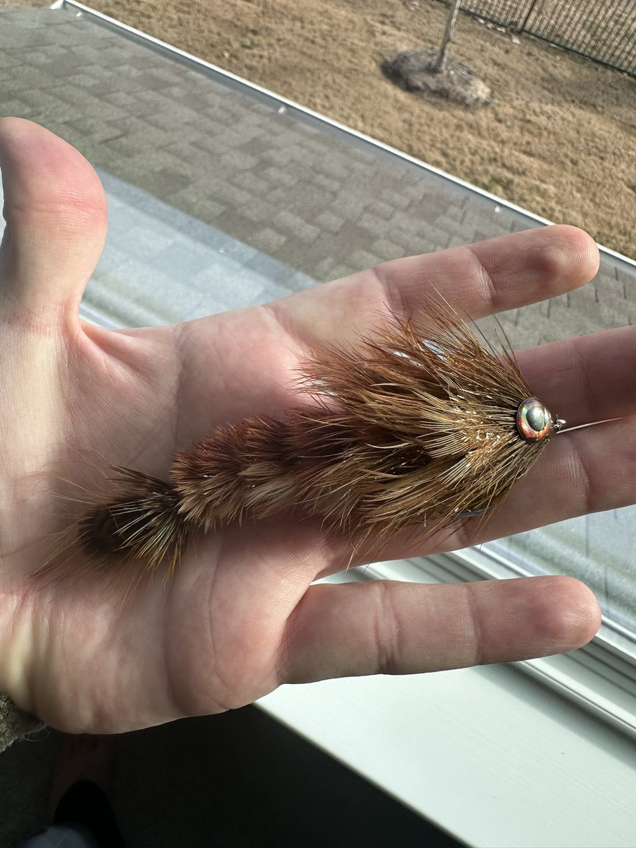 HaiderRick's tweet photo. Some recent feather changers filling up the box for spring! https://t.co/oVRbILdYHO