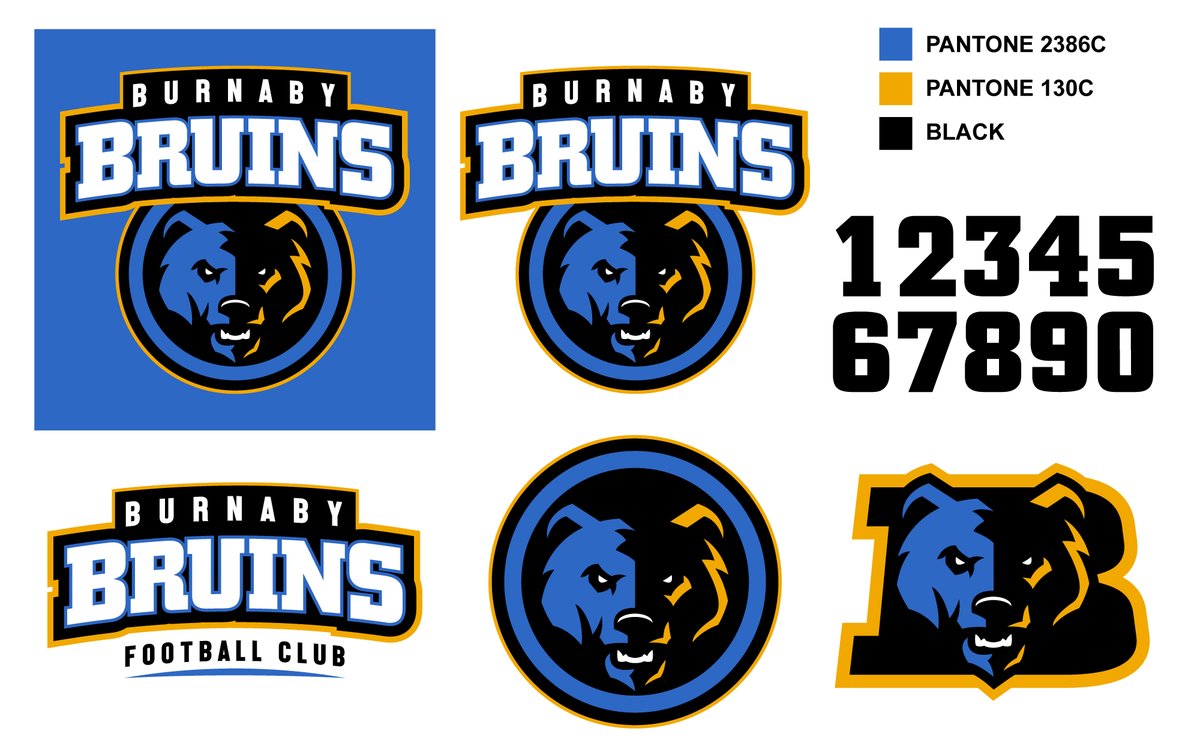 RickAlsop's tweet photo. New logo design for Burnaby Bruins Football Team.
#LogoDesign #Branding #BurnabyBruins https://t.co/iSnsxk9nUO