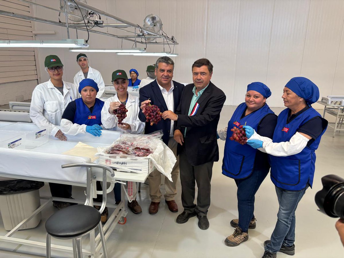En Copiapó se inauguró oficialmente un sitio de inspección fitosanitaria, apoyado por <a href="/CorfoAtacama/">Corfo Atacama</a>, que permitirá certificar la uva de mesa que se exporta a EE.UU. bajo el protocolo Systems Approach 🍇 Más calidad y competitividad a los productos chilenos