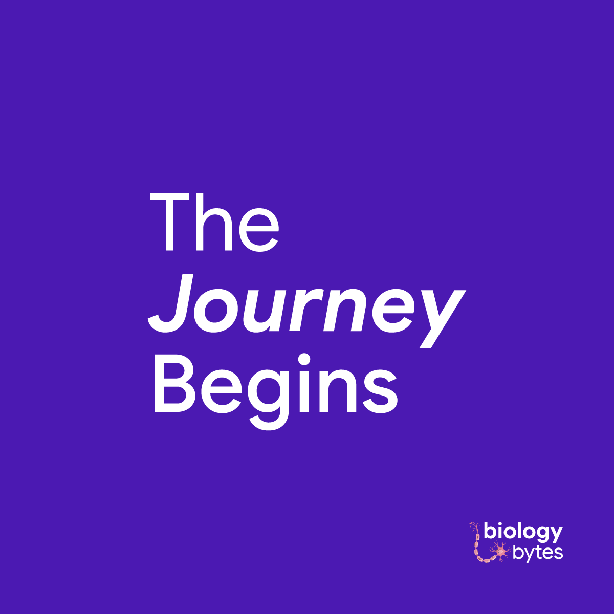 bytes_biology's tweet photo. Biology Bytes is a platform where life science and imagination collide!

#BiologyBytes #ImaginationMeetsBiology https://t.co/kVK7mGUtVQ