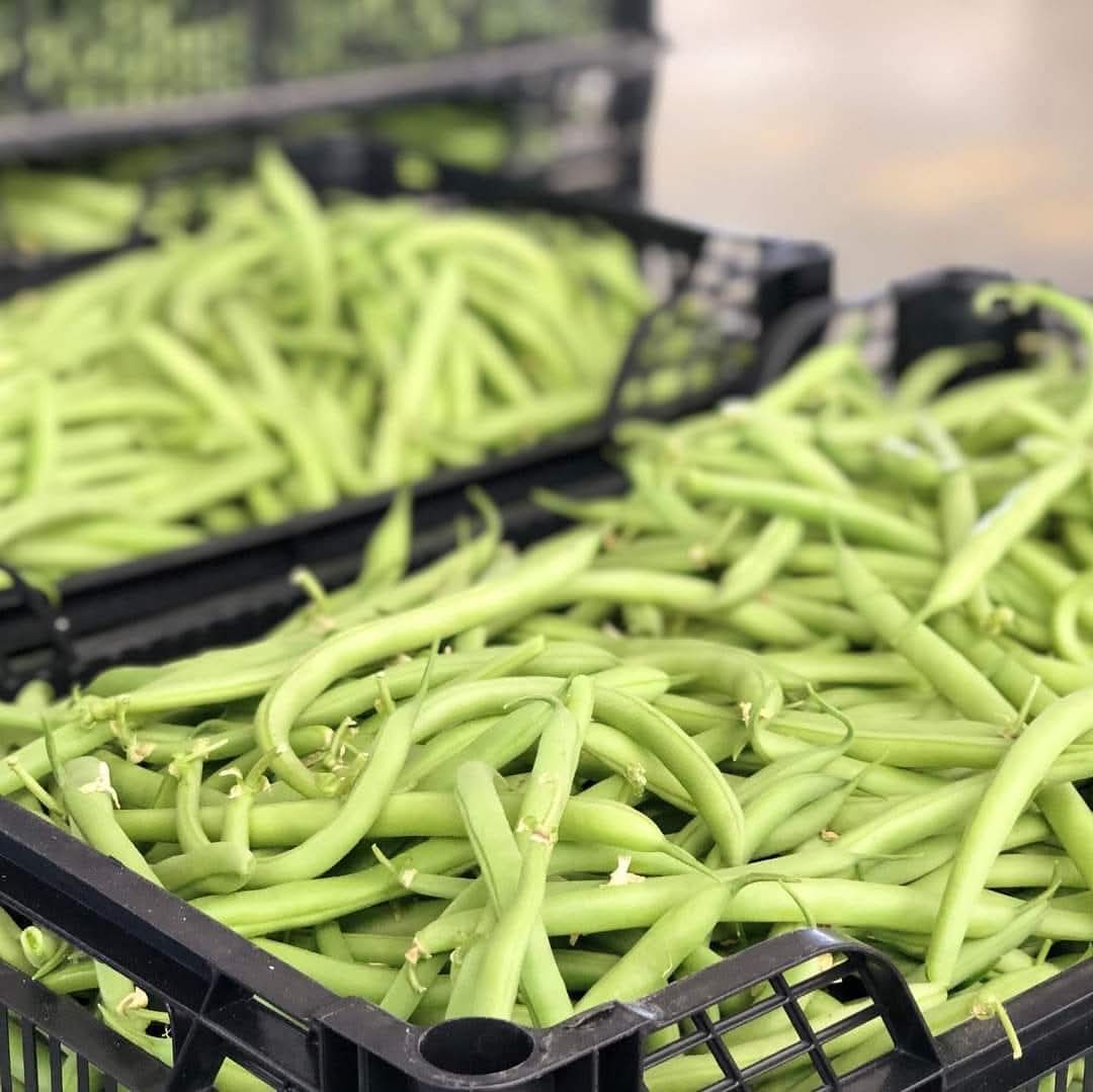 ¿Te gusta? Pues ya esta camino de Valencia para la descarga en Mercovasa y su distribucion en nuestros almacen central de Valencia (Vara de Quart), Mallorca y Alicante

#frutasyverdurasgarcia 
#garciBo
#distribucionyservicio