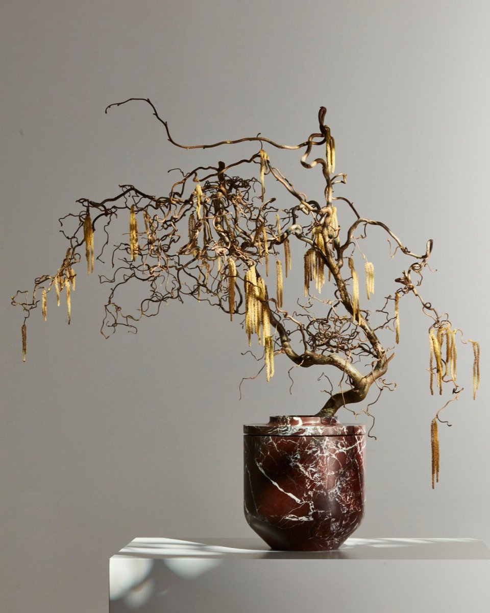 tonyluchetta's tweet image. Rolling out the red carpets for our favs REDS at #MarbleTrend ❤️ #FromEarthToArt #ExtraordinarySurfaces #Marble #RedDesign zc.vg/T6PD5