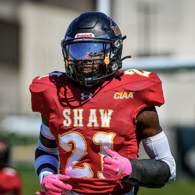 Marv(silverback) tweet media