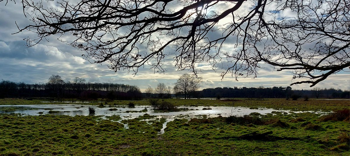 Boswachter Poulussen tweet media