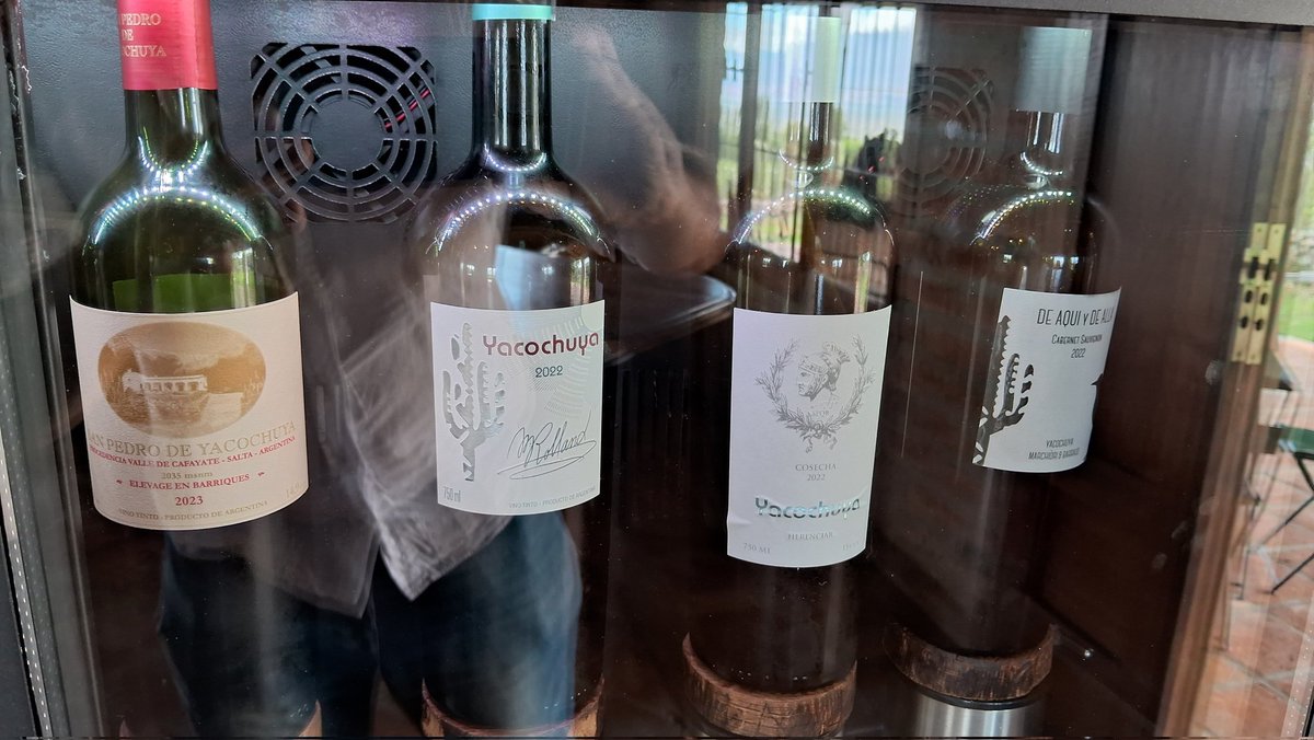 galobasu's tweet image. Si vas a Domingo Molina, también tenés que ir a Yacochuya, otra de las mejores bodegas de Salta (y del mundo). PD: prueben el Herenciar 2022.