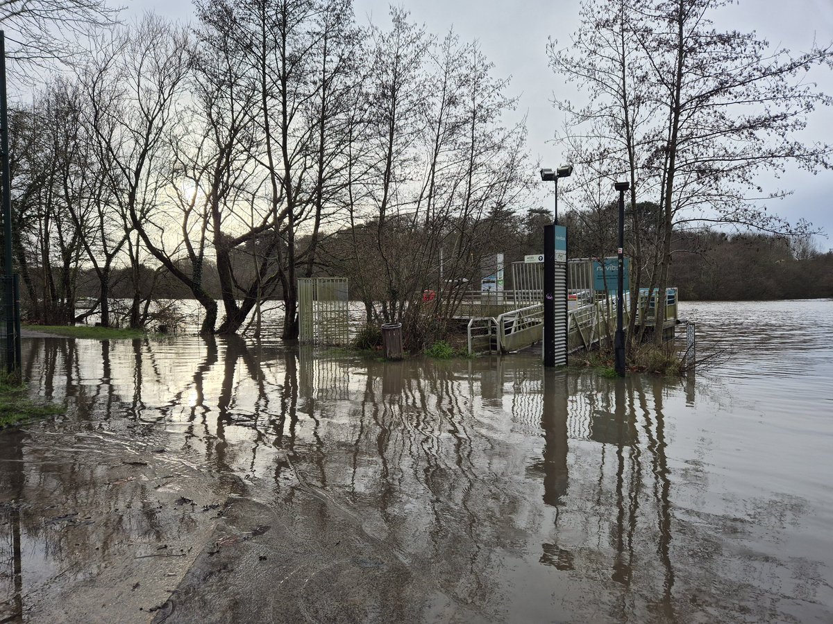 camus Harold tweet media