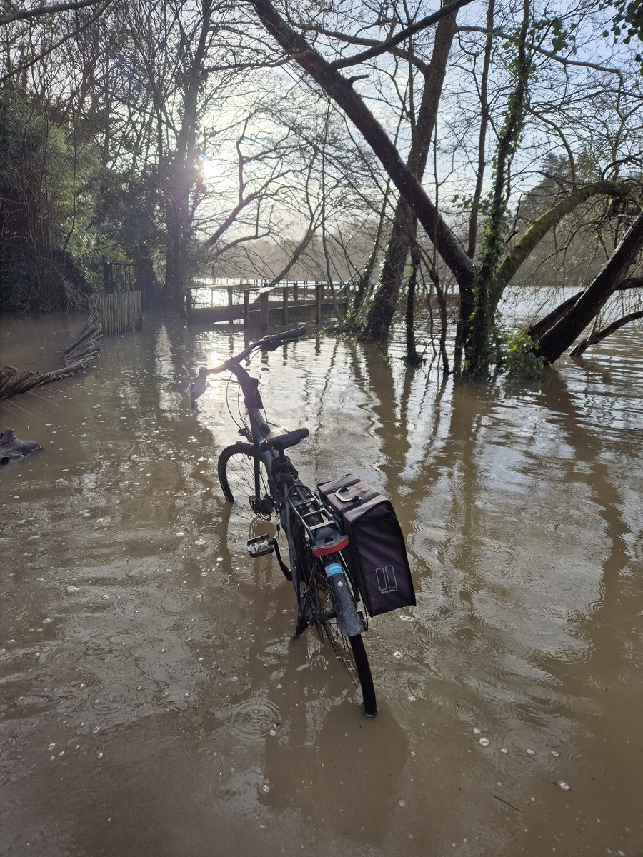 camus Harold tweet media