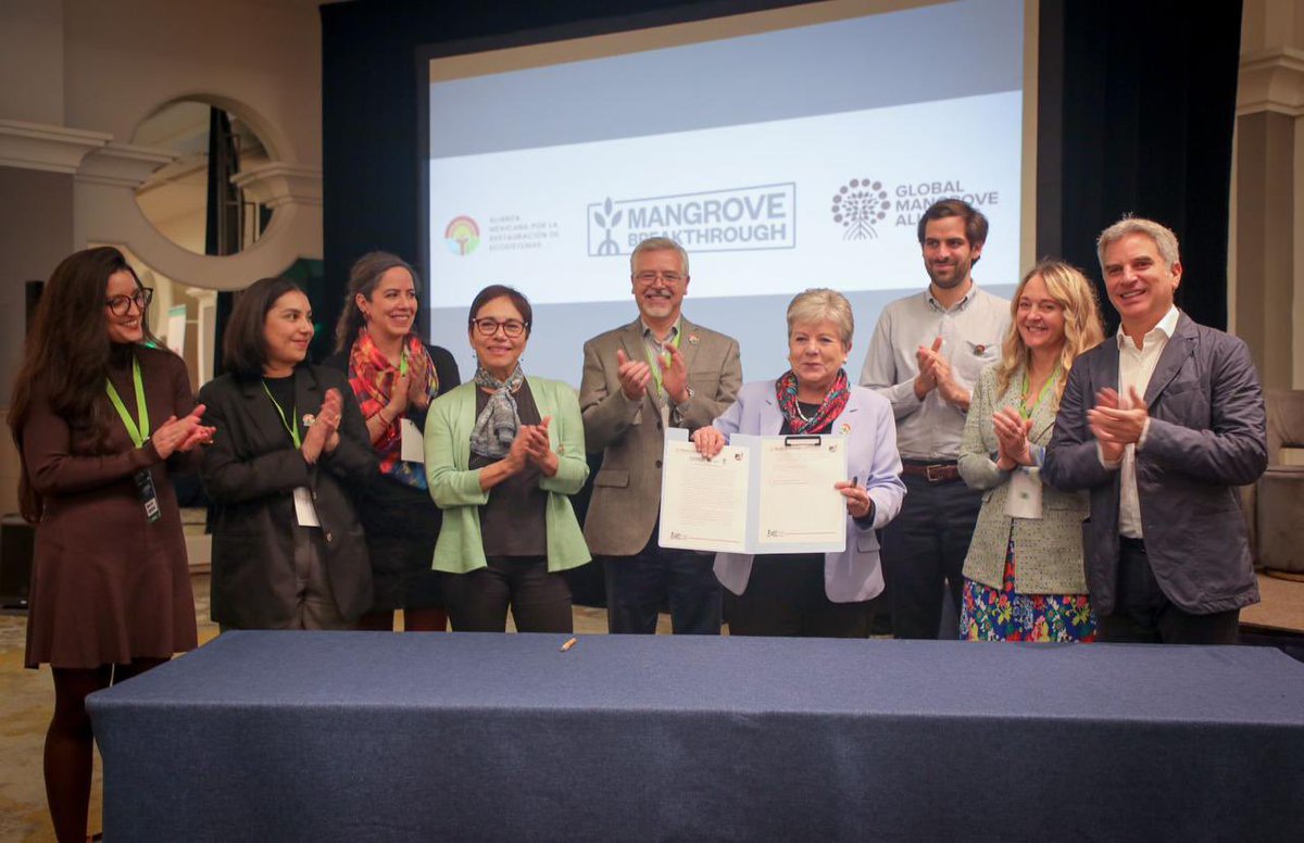 SEMARNAT México (@semarnat_mx) on Twitter photo Esta mañana, la secretaria de #MedioAmbiente, <a href="/aliciabarcena/">Alicia Bárcena</a>, inauguró el Taller Nacional sobre Movilización de la Acción Colaborativa para la Conservación y Restauración de los Manglares en México, un evento organizado por <a href="/Mangroves/">Global Mangrove Alliance</a> y #AMERE. En la ceremonia también Esta mañana, la secretaria de #MedioAmbiente, <a href="/aliciabarcena/">Alicia Bárcena</a>, inauguró el Taller Nacional sobre Movilización de la Acción Colaborativa para la Conservación y Restauración de los Manglares en México, un evento organizado por <a href="/Mangroves/">Global Mangrove Alliance</a> y #AMERE. En la ceremonia también