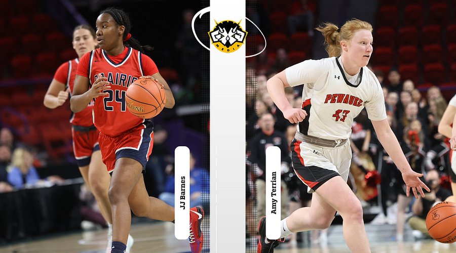 WSN Senior Girls Basketball Awards: Point Guard Semi-Finalists

wissports.net/news_article/s… #wisgb